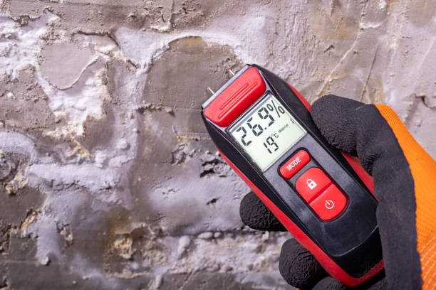 Best Best Mold Removal Companies  in Bellevue, IL