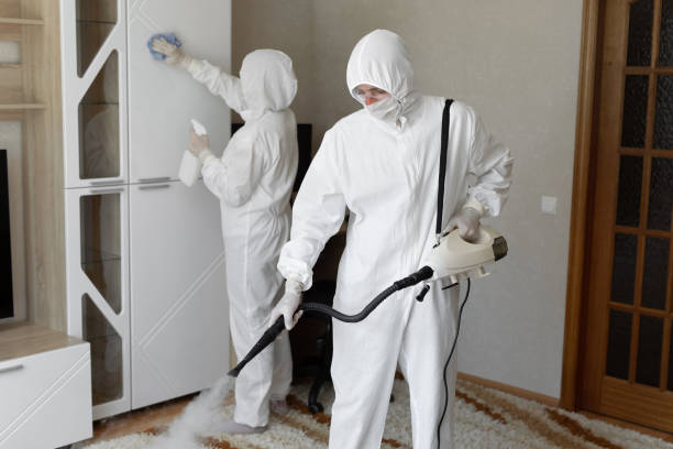 Best Emergency Mold Removal  in Bellevue, IL